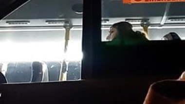 Cute Indian girl on bus pretends not to see my cock