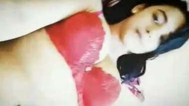 Desi Horny Girl Teasing Video For bf