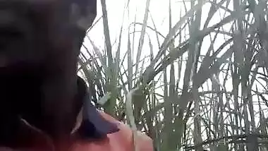 Married girl in jungle boobs pressing and smooching