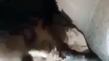 Desi wife oral sex and pissing video compilation