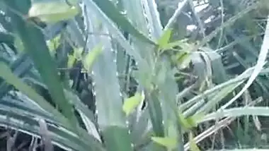 cpl fucking in sugarcane field caught on camera