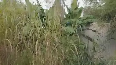 Indian outdoor sex video of a couple in the bushes